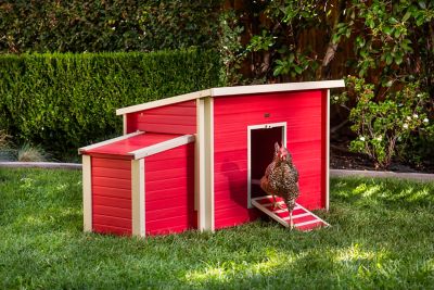 Ecoflex Fontana Chicken Barn Red Chicken Coop Echk103 B Rd