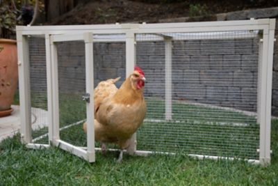 ecoFLEX New Age Pet Fontana Chicken Pen