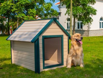 ecoFLEX New Age Pet Bunkhouse Style Dog House, Large