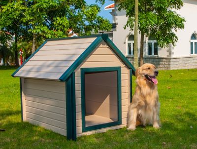 ecoFLEX New Age Pet Bunkhouse Style Dog House, Extra-Large