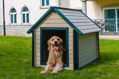 Image showing  ecoFLEX Bunkhouse-Style Outdoor Dog House, Extra Large
