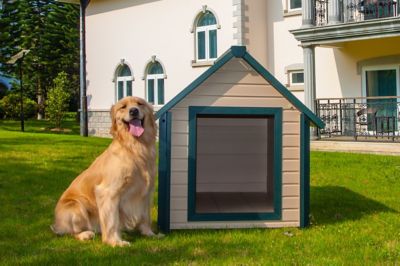 Image showing  ecoFLEX Bunkhouse-Style Outdoor Dog House, Extra Large