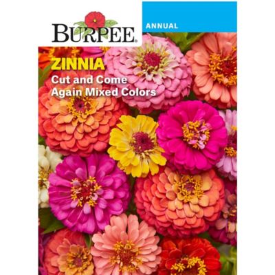 Burpee Zinnia Cut And Come Again Mix, 41843