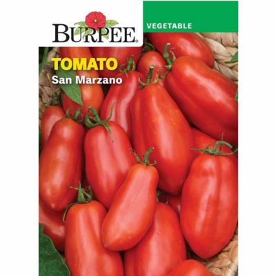 Burpee Italian Tomato San Marzano