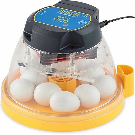 Egg incubators