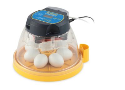 Brinsea 7-Egg Capacity Mini II EX Fully Automatic Egg Incubator