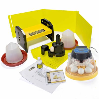Image showing  7-Egg Capacity Mini II Advance Egg Incubation Pack