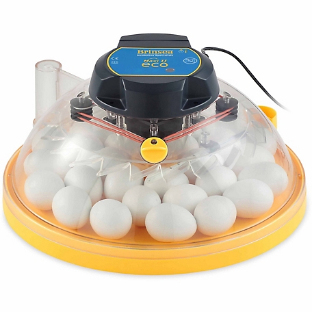 Brinsea 30-Egg Capacity Maxi II Eco Manual Egg Incubator