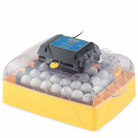 Brinsea 28-Egg Capacity Ovation 28 EX Fully Automatic Egg Incubator
