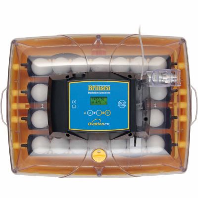 Image showing  28-Egg Capacity Ovation 28 EX Fully Automatic Egg Incubator