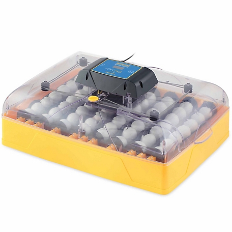 Brinsea 56-Egg Capacity Ovation 56 Advance Egg Incubator