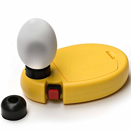 Brinsea OvaView High-Intensity Egg Candler Light