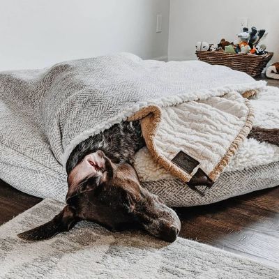 Image showing  Premium Micro Suede Cozy Cave Dog Bed