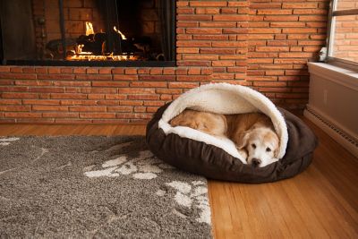Snoozer Micro Suede Cozy Cave Dog Bed
