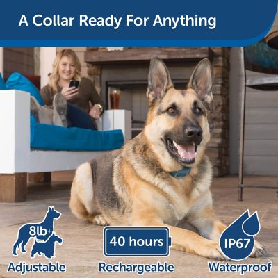 Image showing  SMART DOG Remote Dog Training Collar, 75 yd. Range