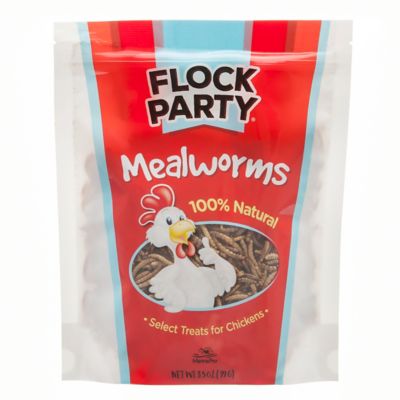 Flock Party Mealworm Poultry Treats, 3.5 oz.