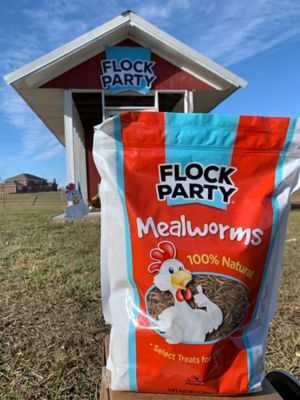 Image showing  Mealworm Poultry Treats