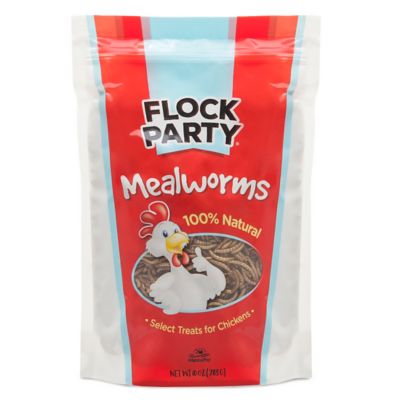 Flock Party Mealworm Poultry Treats
