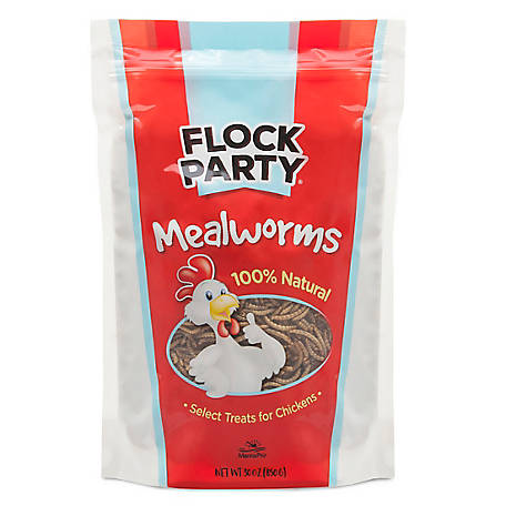 Flock Party Mealworm Poultry Treats, 30 oz.