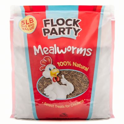 Flock Party Mealworm Poultry Treats, 5 lb.