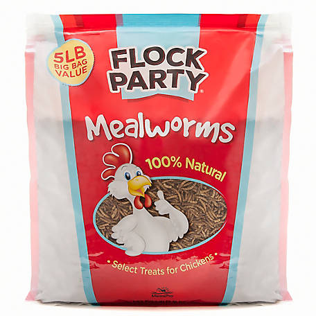 Flock Party Mealworm Poultry Treats, 5 lb.