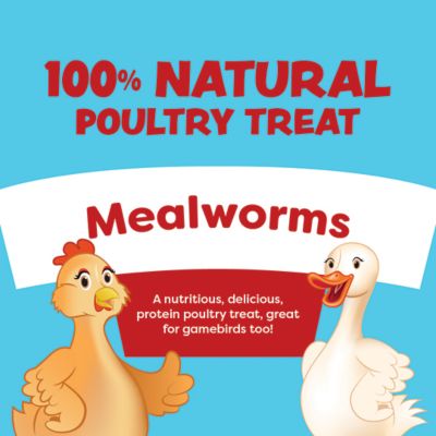 Image showing  Mealworm Poultry Treats