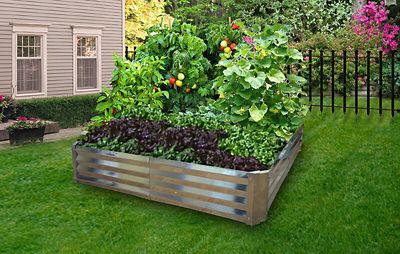 Dalen Rustic Steel Raised Bed Garden, 22.8 in. x 2 in. x 8.5 in., U-Shaped at Tractor Supply Co