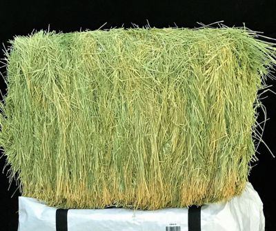 hay bales for sale san diego