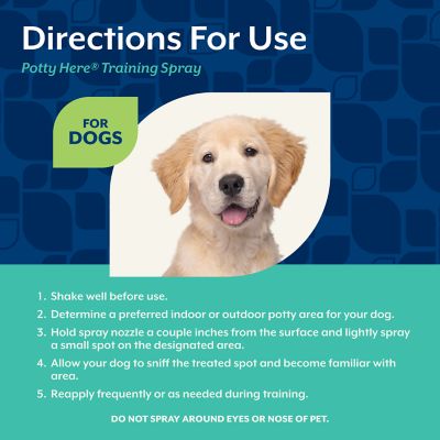 Image showing  Potty Here Training Spray for Puppies and Dogs, 8 oz.