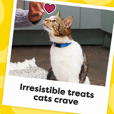 Image showing 6 th Temptations Classic Crunchy and Soft Cat Treats Blissful Catnip Flavor, 3 oz. Pouch
