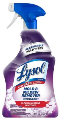 Lysol Mold and Mildew Blaster with Bleach, 32 oz.