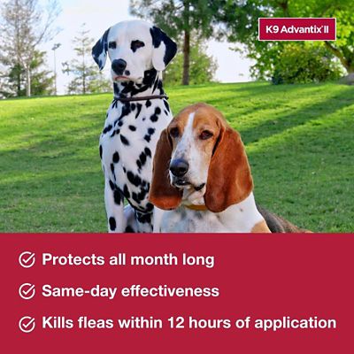 Image showing  K9 Advantix II Topical Flea and Tick Treatment for Dogs