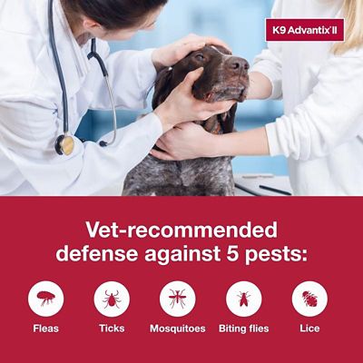 Image showing  K9 Advantix II Topical Flea and Tick Treatment for Dogs