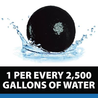 Image showing  PondShock Pond Treatment Water Clarifier, Single Bacterial Ball