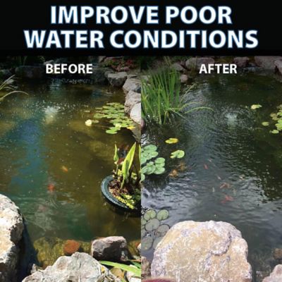 Image showing 5 th CrystalClear PondShock Pond Treatment Water Clarifier, Single Bacterial Ball
