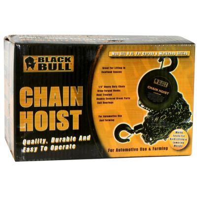 Image showing  1 Ton Capacity 8 ft. Lift Heavy-Duty Chain Hoist