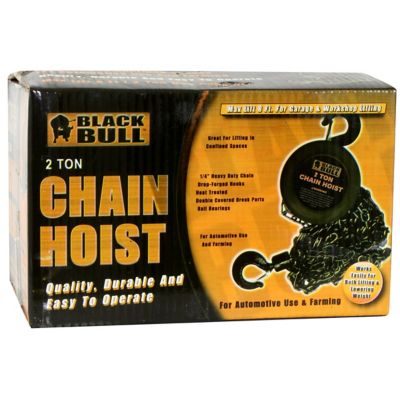 Image showing  2 Ton Capacity 8 ft. Lift Heavy-Duty Chain Hoist