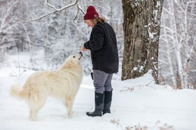 Image showing 8 th Muck Boot Company Women's Arctic Sport II Tall Waterproof Winter Boots, 14 in.