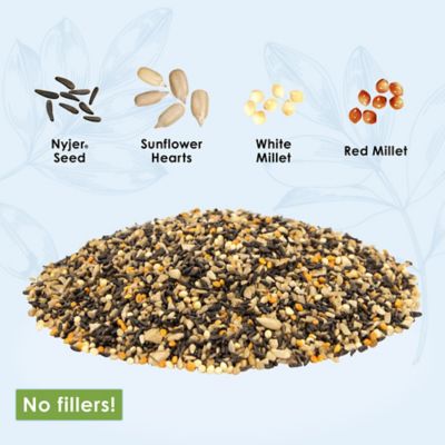Image showing  Gourmet Wild Finch Bird Food, 4.5 lb.