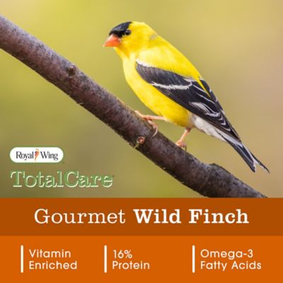 Image showing  Gourmet Wild Finch Bird Food, 4.5 lb.