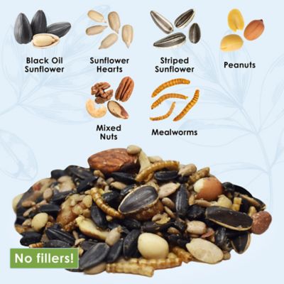 Image showing  Gourmet Trail Mix with Mealworms Wild Bird Food, 5.5 lb.
