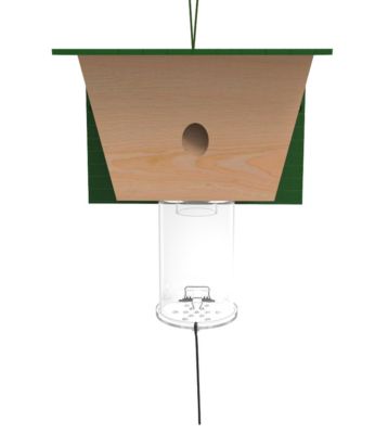 Best Bee Brothers Natural Carpenter Bee Trap