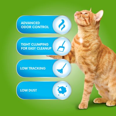 Image showing  Clump-N-Scoop Unscented Clumping Clay Cat Litter