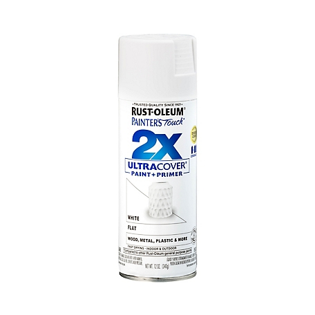 Rust-Oleum 12 oz. Painter's Touch 2X Ultra Cover Spray Paint, Flat