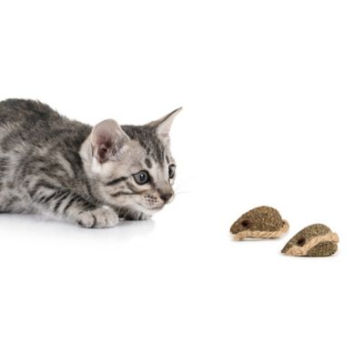 Image showing  Catnip Mouser Compressed Catnip Cat Toys, 2-Pack