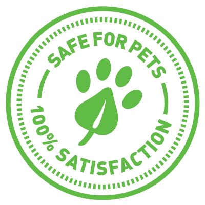 Image showing 6 th Petlinks Mystery Motion Cat Toy, Cheetah