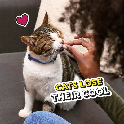 Image showing 7 th Temptations MixUps Crunchy and Soft Surfer's Delight Flavor Cat Treats, 16 oz. Tub