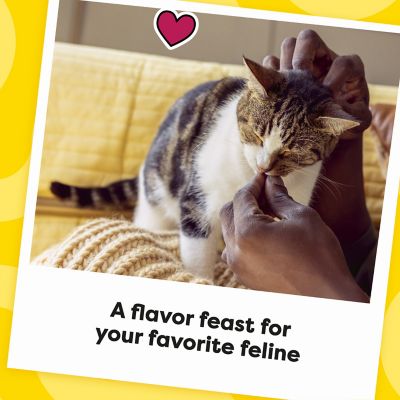 Image showing 9 th Temptations MixUps Crunchy and Soft Surfer's Delight Flavor Cat Treats, 16 oz. Tub