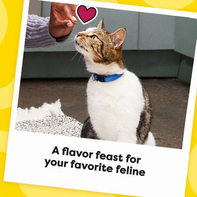 Image showing 8 th Temptations MixUps Backyard Cookout Flavor Crunchy and Soft Cat Treats, 16 oz.