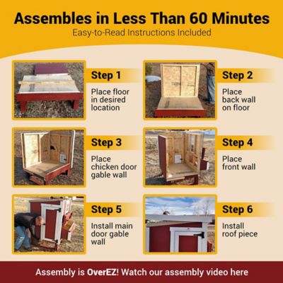 Image showing 5 th OverEZ Medium Chicken Coop, 10 Chicken Capacity